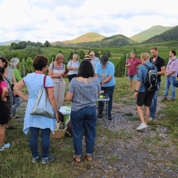 Kräuterwanderung im Wingert